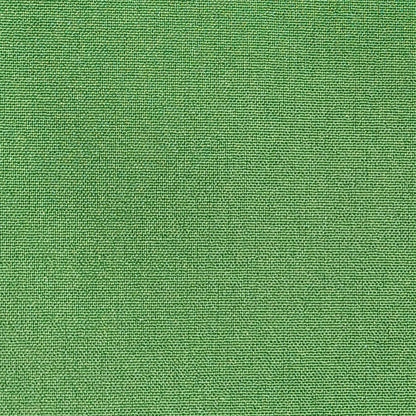 Fabric swatch - Green apple color