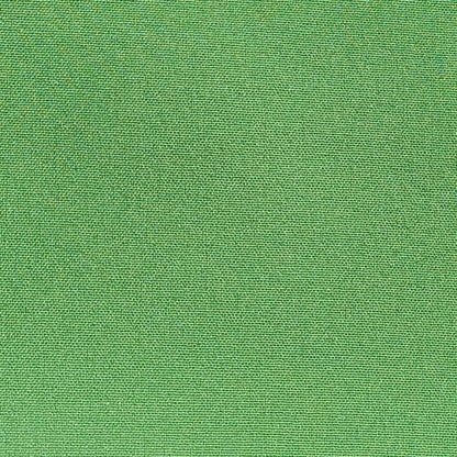Fabric swatch - Green apple color