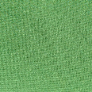 * Women's Green Apple Mesh Lined Snap Raincoat (WM0525J)